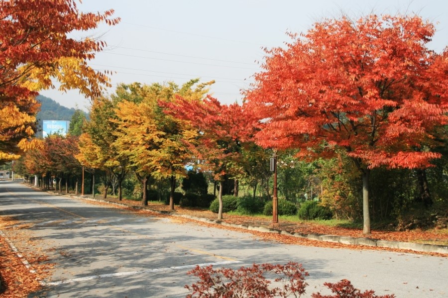 모두의쓸모 이미지