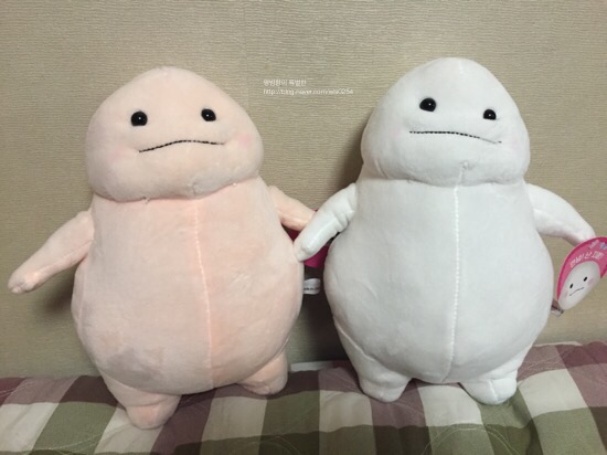뽑아봅세 이미지