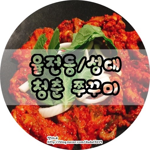 청춘쭈꾸미 이미지