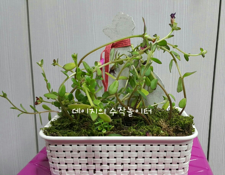 토탈아트 이미지