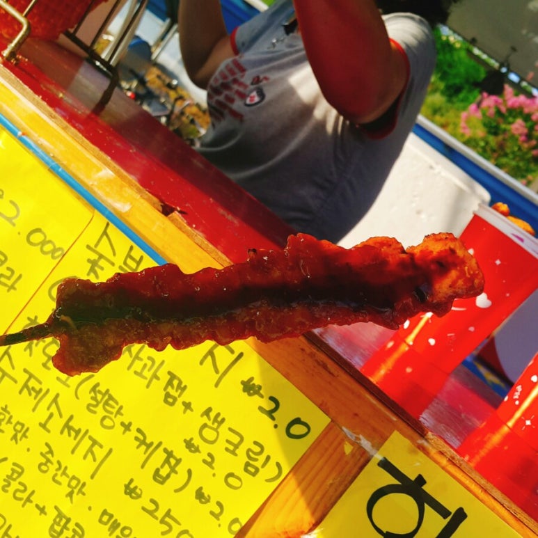 꼬치리아 이미지