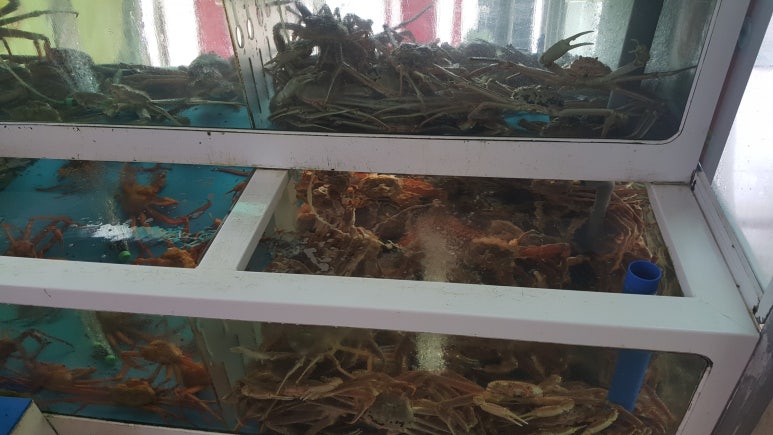 산호대게직판장 이미지