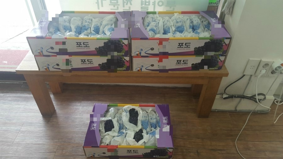 꿀맛과수원 이미지