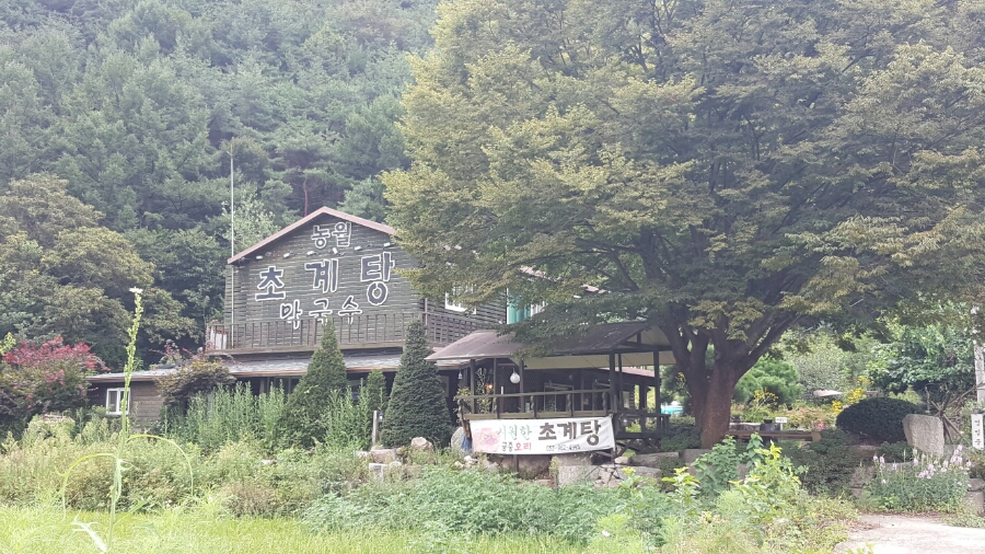 초계탕막국수 이미지