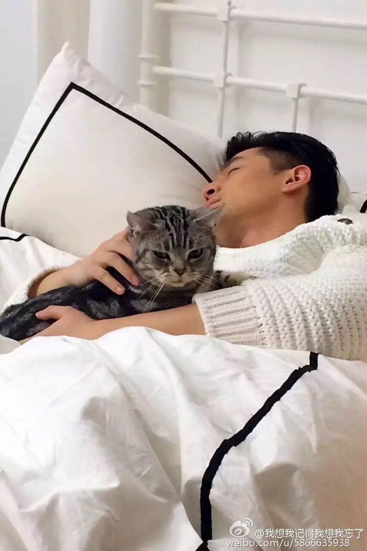 호선생 이미지