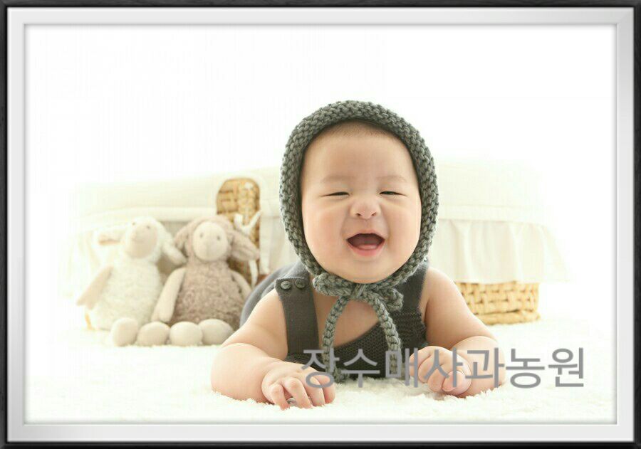 주환농원 이미지