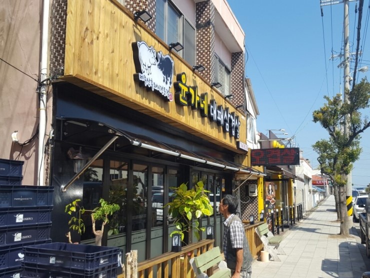 제주캐노픽스 이미지