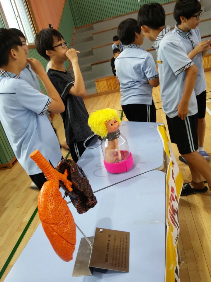 경포중학교 이미지