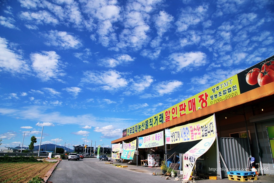 전국농산물직거래판매장 이미지