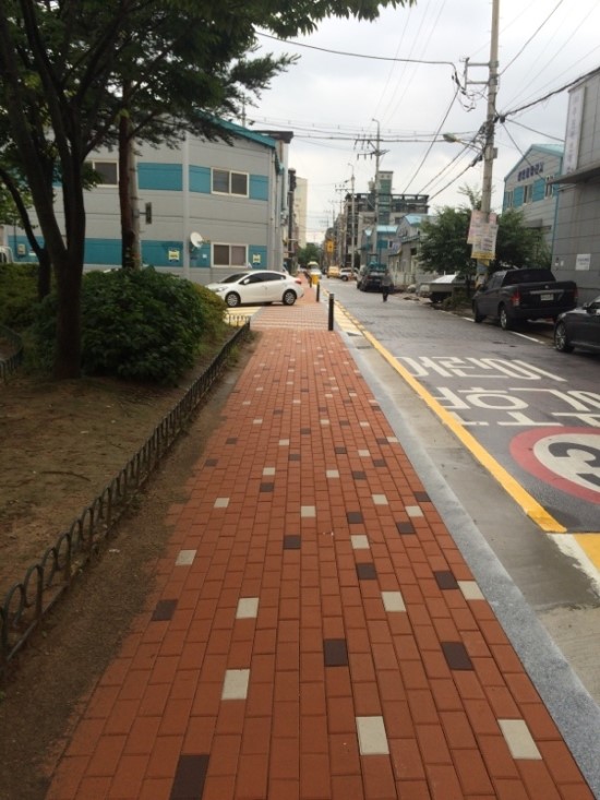 안룡초등학교 이미지