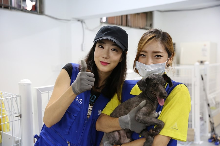 이정민애견미용학원 이미지