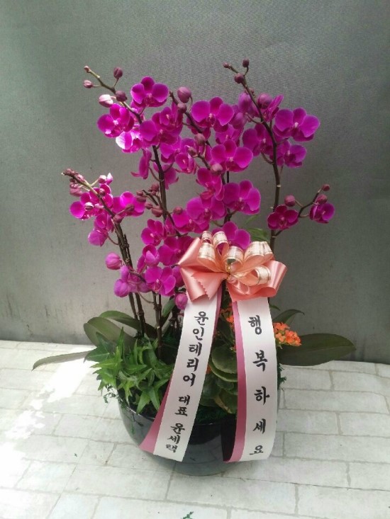 꽃비플라워 이미지