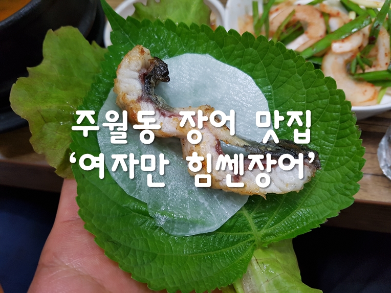 여자만힘쎈장어 이미지