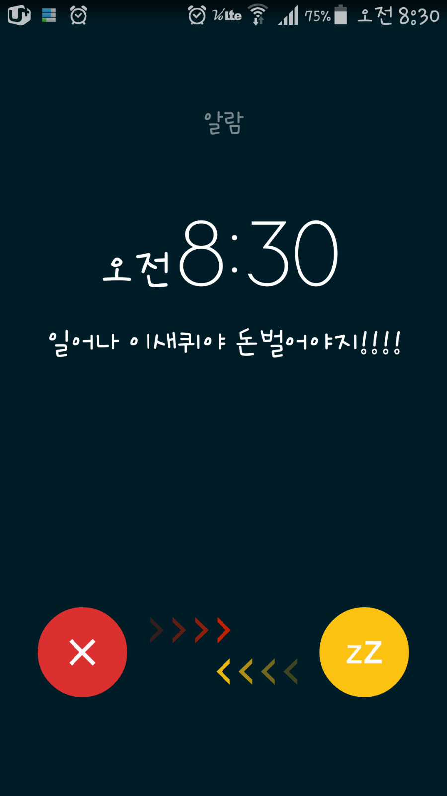 홍탕 이미지