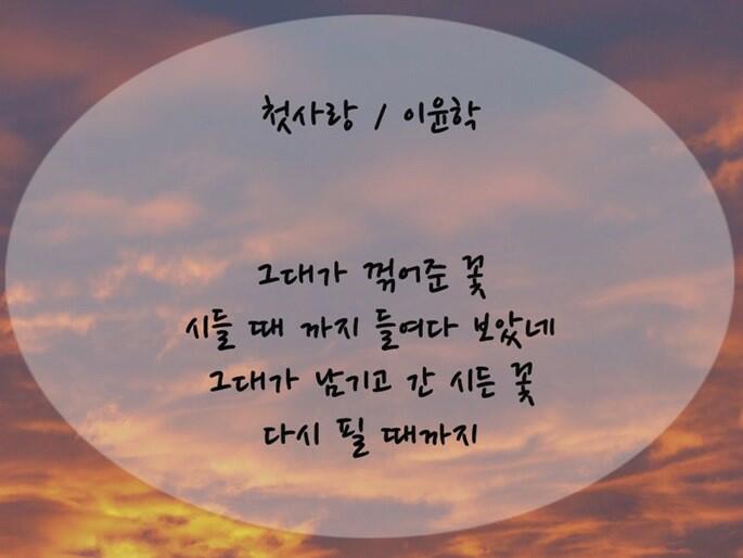 우성삼계탕 이미지