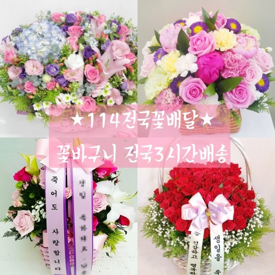법무법인천지인 이미지