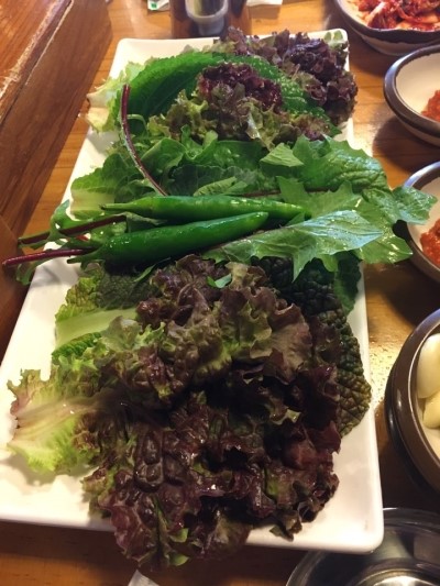 옛날농장 이미지