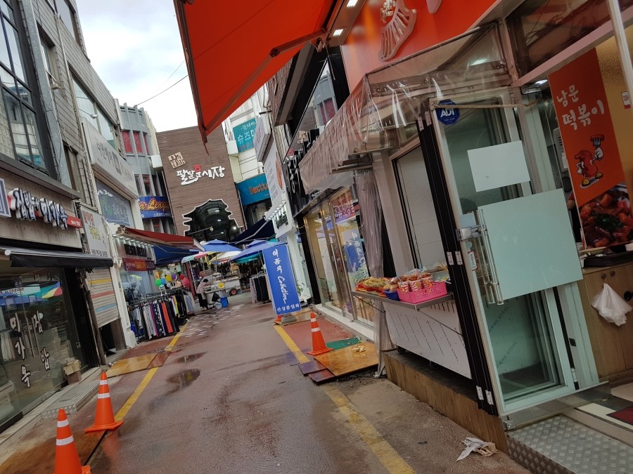 이동우콜렉션 이미지
