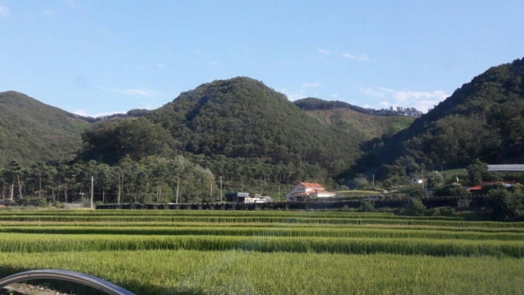 섬바우 이미지