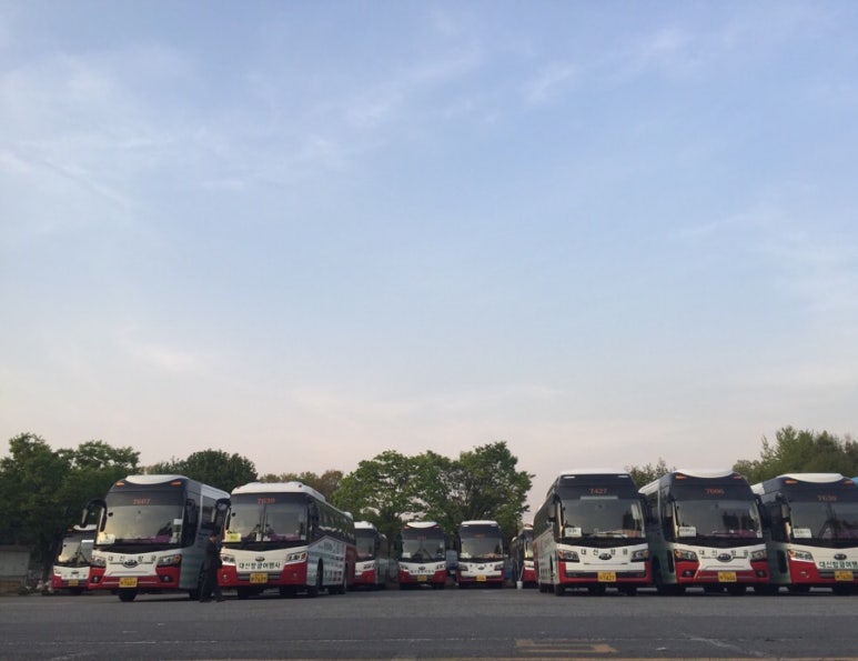 주식회사 대신관광여행사 이미지
