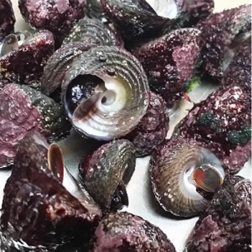 해광칼국수 이미지