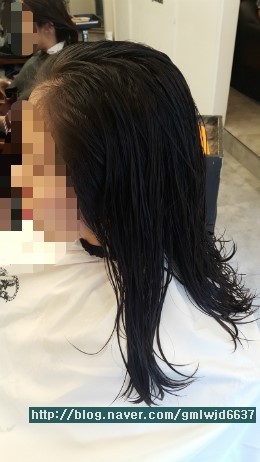 디토헤어 이미지