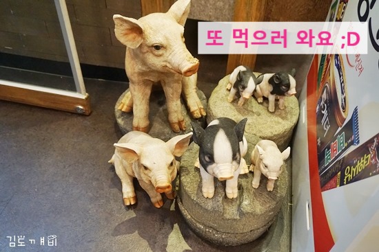 소야돼지야 이미지