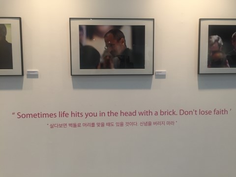스티브크리에이티브 이미지