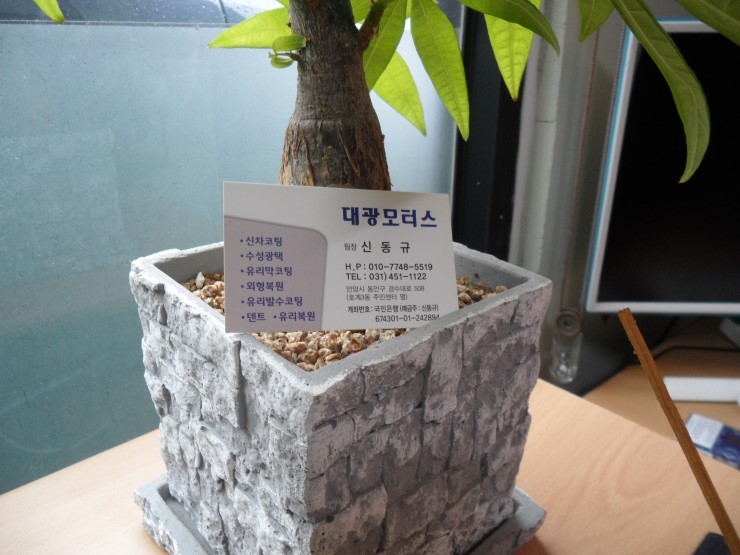 대광모터스 이미지