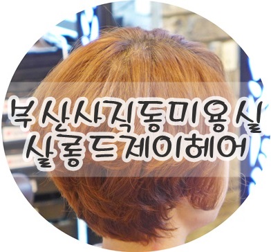 두시살롱 이미지
