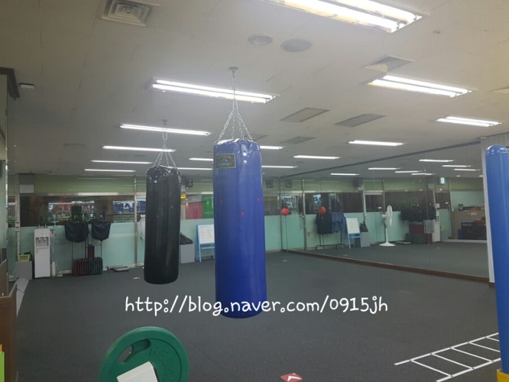 원펀치복싱클럽 이미지