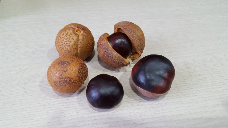동양제일마트 이미지