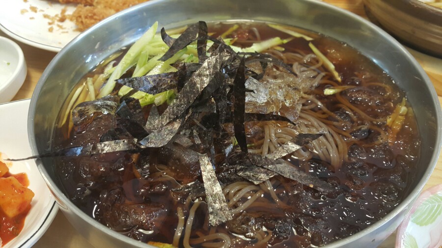 탑동크로커다일 이미지