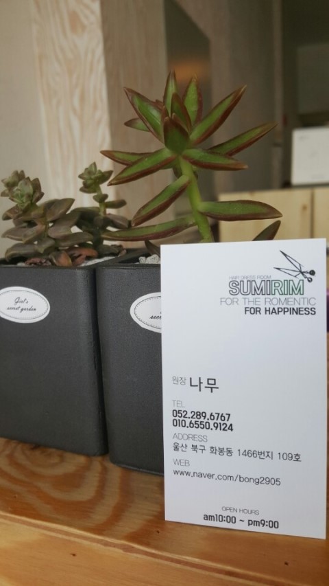 수미림 이미지