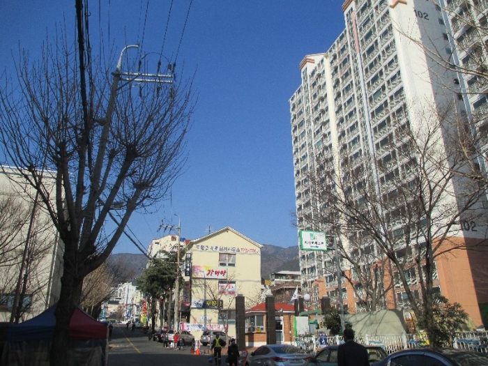 베스트신우 이미지