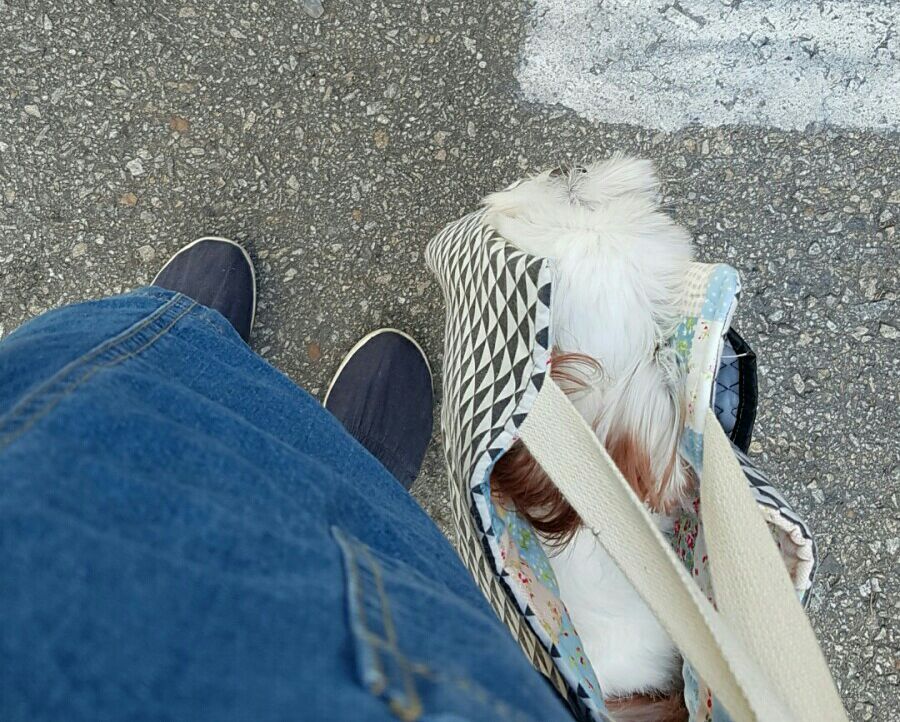 천둥마트 이미지