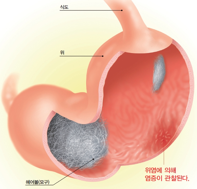 (주)에이알씨 이미지