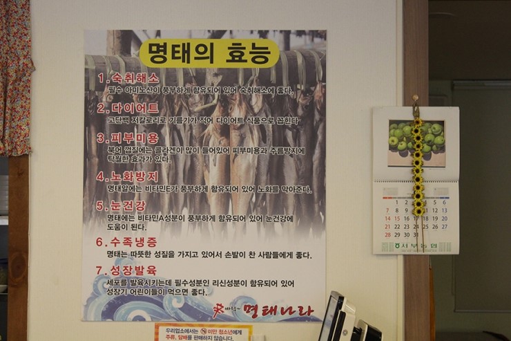 명태나라 이미지
