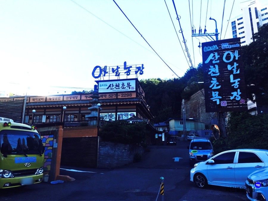 초목공간` 이미지