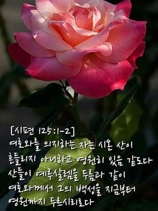 토요일 이미지