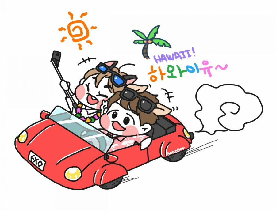 하와이유 이미지