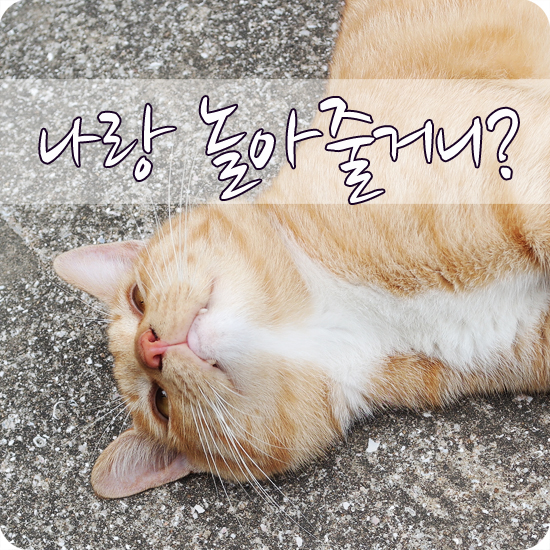 나랑놀자! 이미지