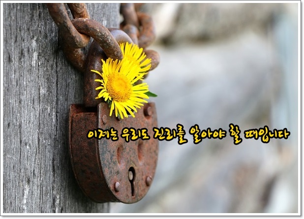 등대주유소 이미지