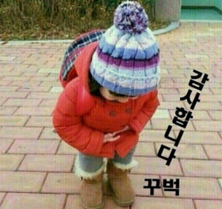 삼도봉천마농장 이미지