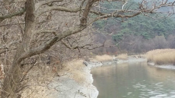 골든펜션 이미지