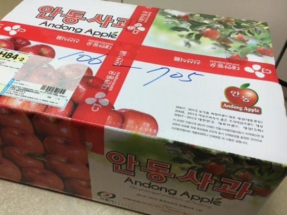 호야네농장 이미지