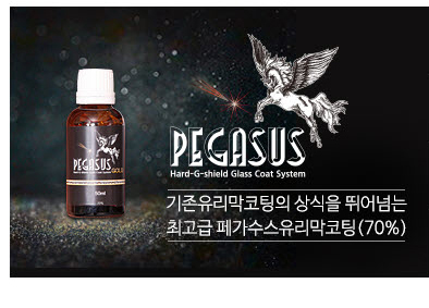 남동출장세차 이미지