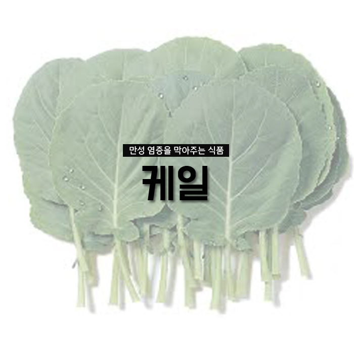 원진식품 이미지