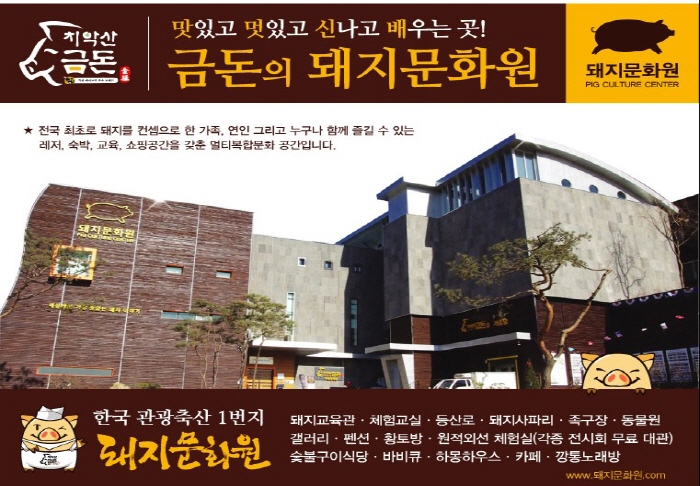 금돈돼지 이미지