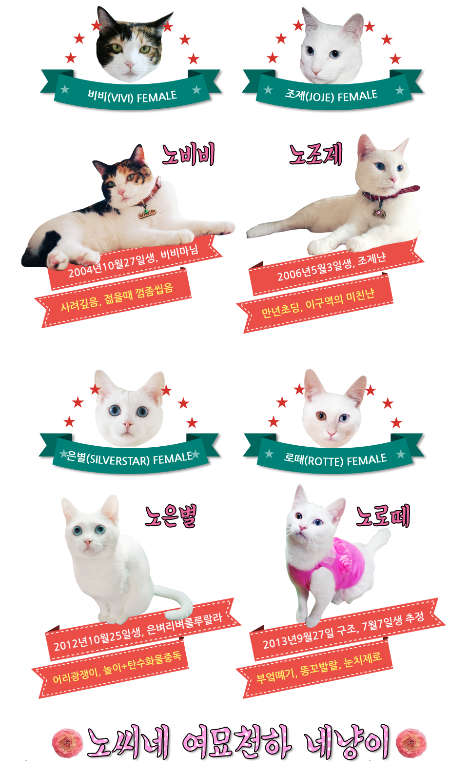 큐헤어(Q HAIR) 이미지